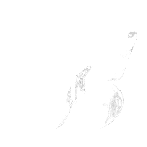 Devour butterfly logo
